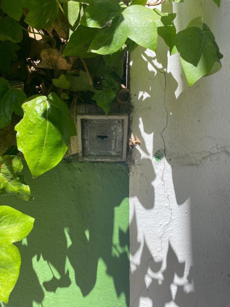 Rentalsevilla San Clemente Εξωτερικό φωτογραφία