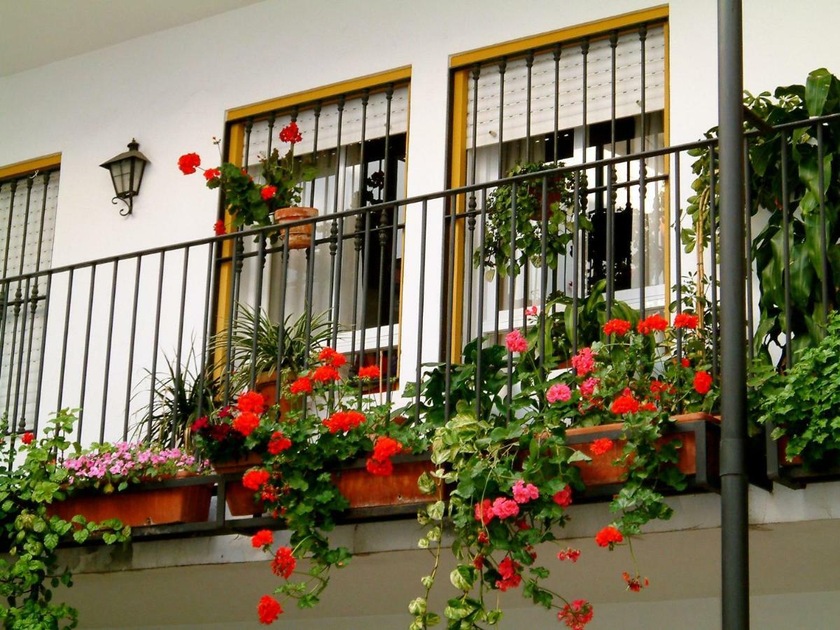 Rentalsevilla San Clemente Εξωτερικό φωτογραφία